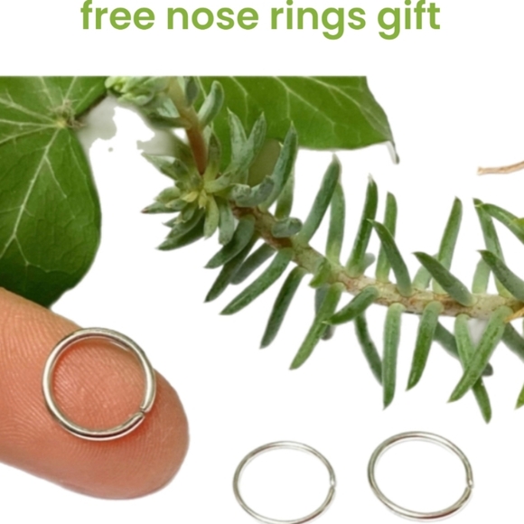 3 Nose Rings - Picture 6 of 7